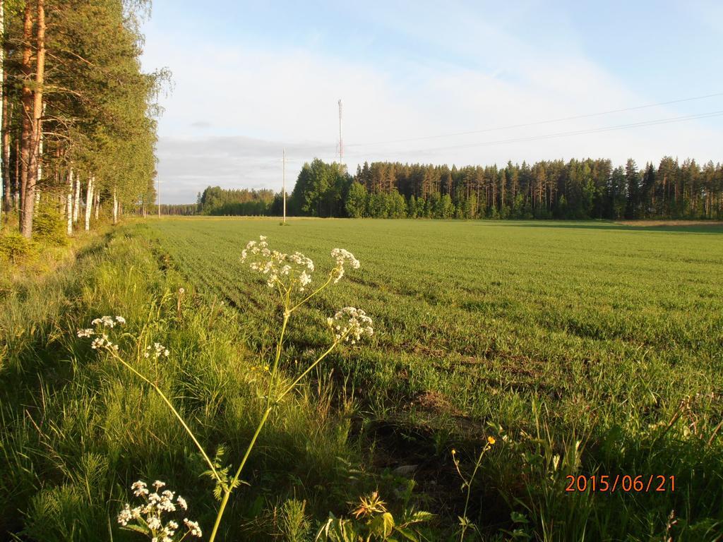 Kalliomajat Ylivalli Esterno foto