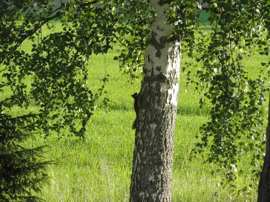 Kalliomajat Ylivalli Esterno foto